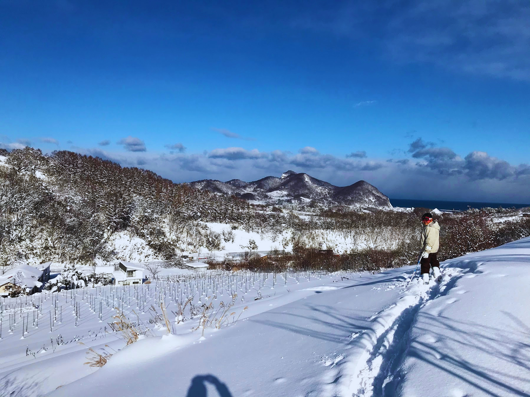 雪に包まれた余市の果樹園と山々